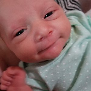 Meet your Posher, Victoria